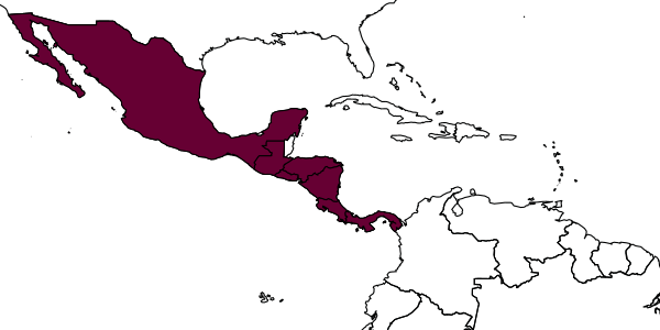 map of Azteca pittieri     Forel, 1899